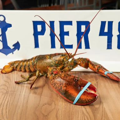 Pier 48 Fish House & Oyster Bar - Downtown INDY