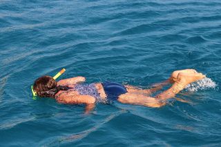 Marathon Key: 3-hour Snorkeling adventure on a Pontoon at Sombrero Reef