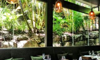 Locale Restaurant and Bar Noosa