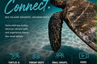 Hawaiian Sea Turtle & Reef Snorkel-Private Tour