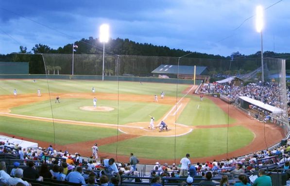 Charleston Riverdogs at Myrtle Beach Pelicans
