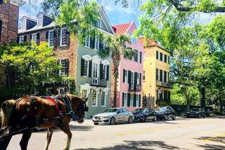 Charleston Horse & Carriage Historic Sightseeing Tour