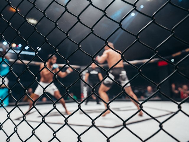 WBC Fight Night