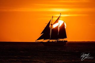 Sunset Sail Cruise in Key West