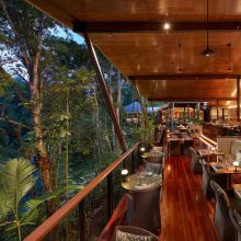 Treehouse Restaurant