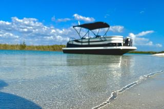 Private Luxury Keewaydin Island Beach & Dolphin Excursion