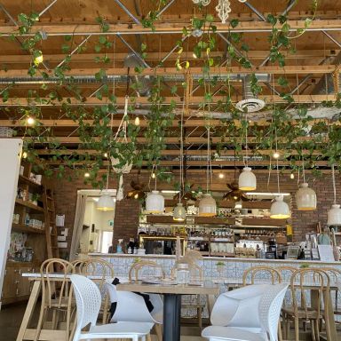 The Moth Cafe