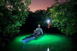 Naples Guided Sunset Kayak Tour Activity