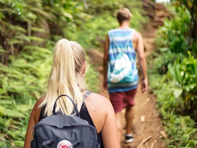 Wellness Hikes: Carrington Factory Yard