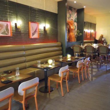 Siren Social Club