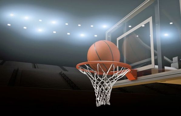 Le Moyne Dolphins  at LIU Sharks Women's Basketball