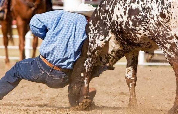 Big Spring Cowboy Reunion & Rodeo