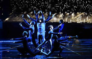 Pilobolus
