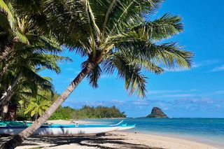 Private Tour Oahu