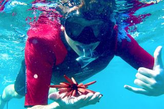 Snorkeling for Beginners with Flotation Wetsuits W/O Sea Scooters