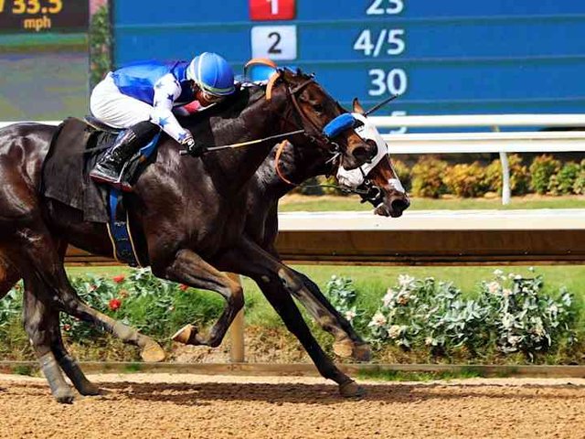 Del Mar Thoroughbred Racing - Sunday