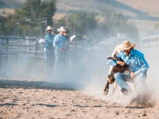 PBR Stockyards Showcase