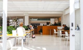 Industry Beans Newstead