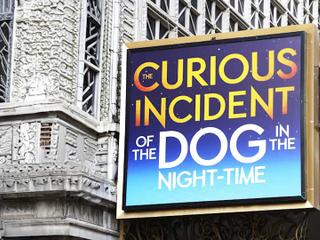 The Curious Incident of the Dog in the Night-Time