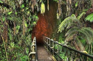 Maui: Road to Hana Deluxe Rainforest and Waterfall Experience