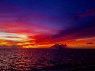 Sunset & Champagne Cruise on a Classic Schooner with boat dogs
