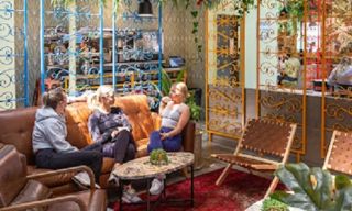 Mister Oso Wash Park