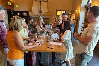 Healdsburg 6 Hour Wine Tour with Luxury SUV - Seats up to 4