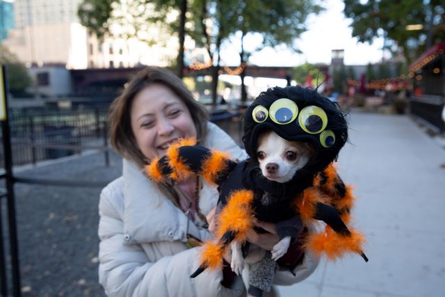 Howl-O-Ween Canine Cruise