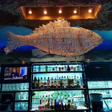 Downtown Aquarium