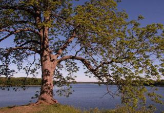 Upper Thames River Conservation Authority
