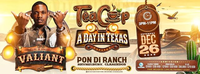 TEACUP A DAY IN TEXAS