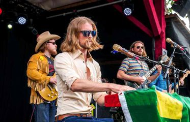 Sheepdogs
