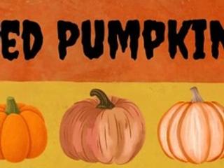 The Haunted Pumpkin Hunt