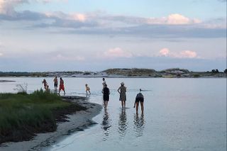 Private 3 Hour Powerboat Dolphin Cruise with Remote Beach Stop up to 6 guests