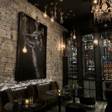 Wolf by Vanderpump - Harveys Lake Tahoe