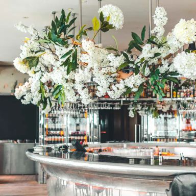 Angelica & Crafthouse