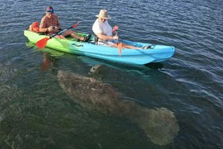 Crystal River: Three Sisters Tandem Kayak Dry Tour