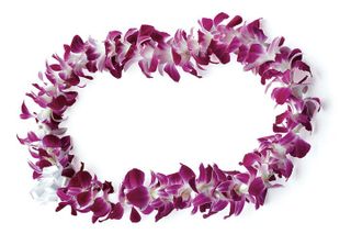 Honolulu Private Airport Transfer (Arrival with Lei or Departure)