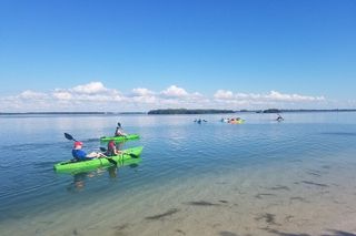 Guided Kayak EcoTour of Beautiful Shell Key Preserve