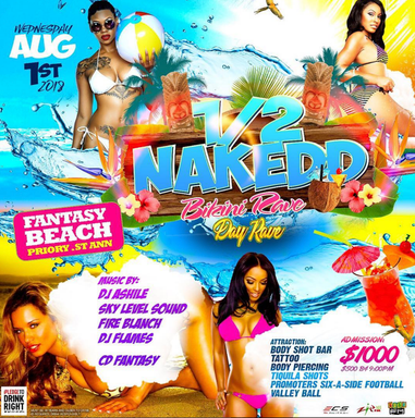 1/2 Nakedd: Bikini Rave