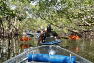 Clear Kayak Tours in Fort Pierce