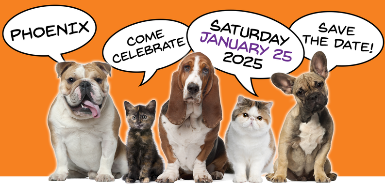 8th Annual Doggie Street Festival and Adopt-A-Thon