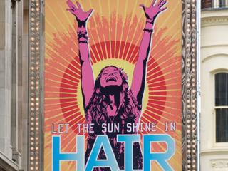 Hair