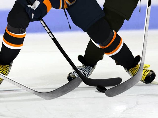 Trois-Rivieres Lions vs. Worcester Railers