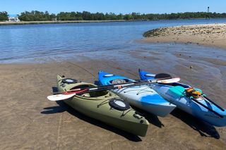 Shark Tooth Island Kayak Rental