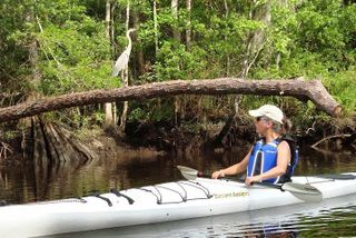 Amelia Island Area Kayak Rental on Lofton Creek with Adventures Up The Creek