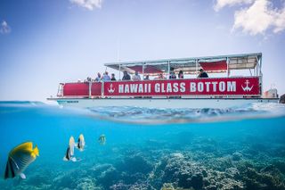 Waikiki Glass Bottom Boat Tour