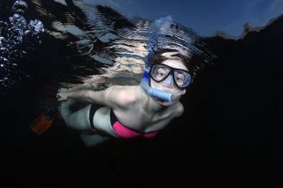 Phil Foster Park NIGHT TIME Guided Snorkel tour West Palm Beach
