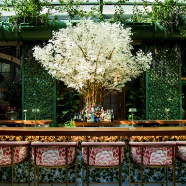 The Garden Room