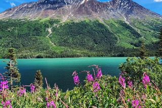 Private Skagway Tour Custom Half Day Charter For Up To 20 People